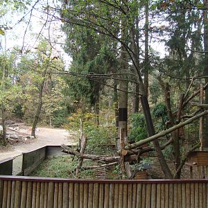 Ljubljana Zoo October 2013