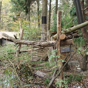 Ljubljana Zoo October 2013