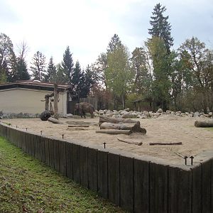 Ljubljana Zoo October 2013