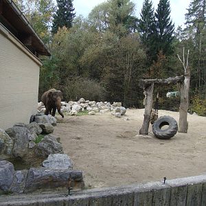 Ljubljana Zoo October 2013