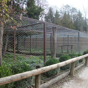 Ljubljana Zoo October 2013