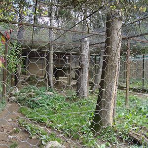 Ljubljana Zoo October 2013
