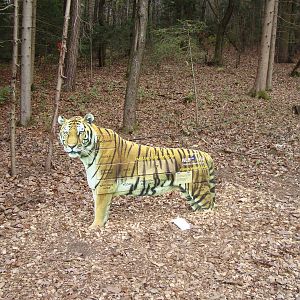 Ljubljana Zoo October 2013