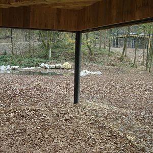 Ljubljana Zoo October 2013