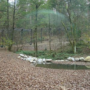 Ljubljana Zoo October 2013