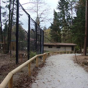 Ljubljana Zoo October 2013