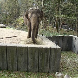 Ljubljana Zoo October 2013