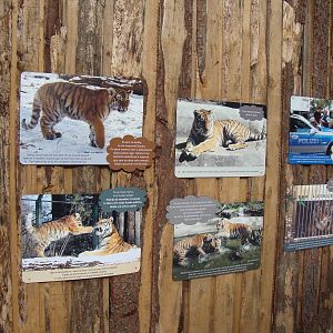 Ljubljana Zoo October 2013