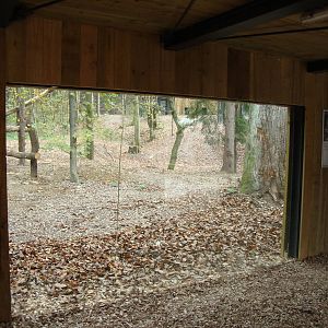 Ljubljana Zoo October 2013