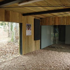 Ljubljana Zoo October 2013