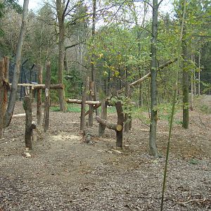 Ljubljana Zoo October 2013