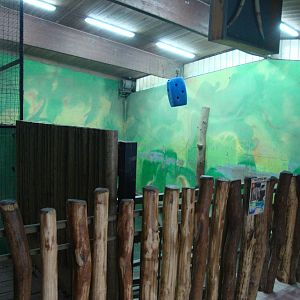 Ljubljana Zoo October 2013