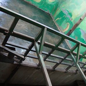 Ljubljana Zoo October 2013