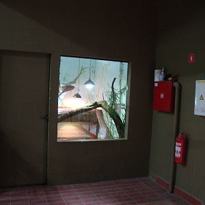 Ljubljana Zoo October 2013