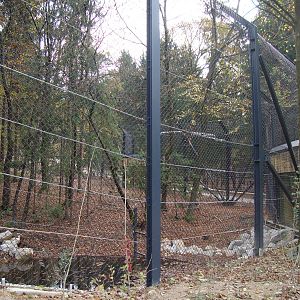 Ljubljana Zoo October 2013