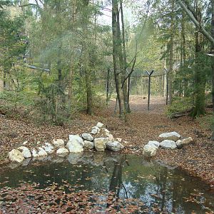 Ljubljana Zoo October 2013