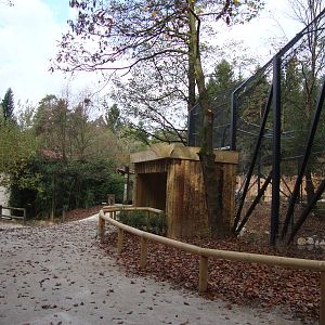 Ljubljana Zoo October 2013