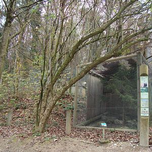 Ljubljana Zoo October 2013