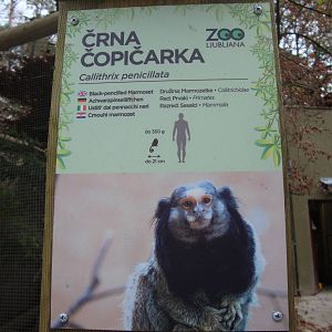 Ljubljana Zoo October 2013