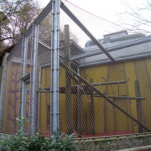 Ljubljana Zoo October 2013