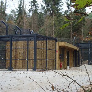 Ljubljana Zoo October 2013