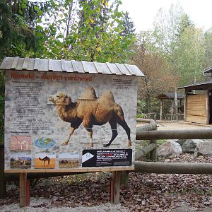 Ljubljana Zoo October 2013