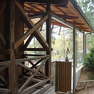 Ljubljana Zoo October 2013