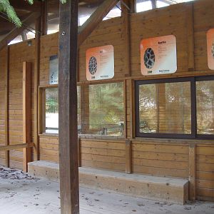 Ljubljana Zoo October 2013