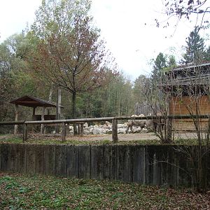 Ljubljana Zoo October 2013