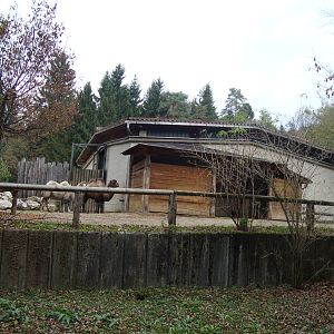 Ljubljana Zoo October 2013