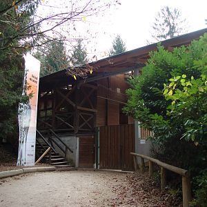 Ljubljana Zoo October 2013