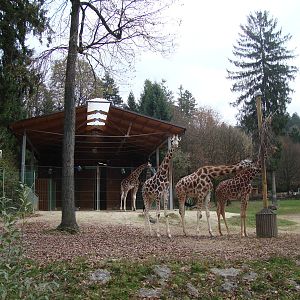 Ljubljana Zoo October 2013