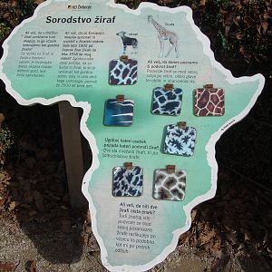 Ljubljana Zoo October 2013