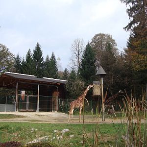 Ljubljana Zoo October 2013