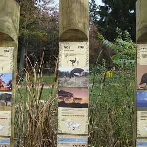 Ljubljana Zoo October 2013