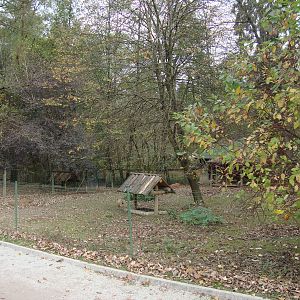 Ljubljana Zoo October 2013