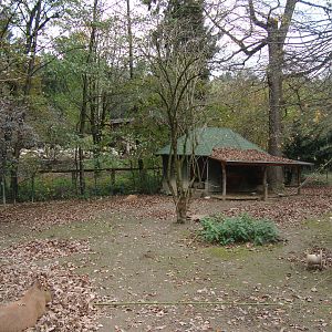 Ljubljana Zoo October 2013