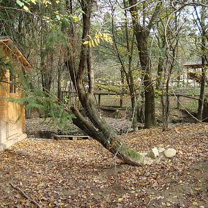 Ljubljana Zoo October 2013