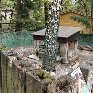 Ljubljana Zoo October 2013