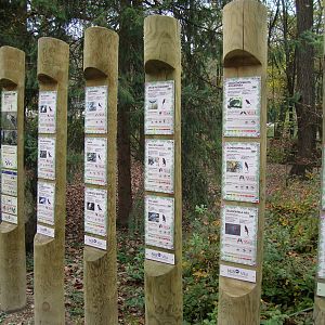 Ljubljana Zoo October 2013