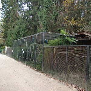 Ljubljana Zoo October 2013