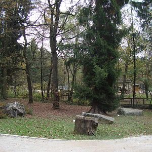 Ljubljana Zoo October 2013
