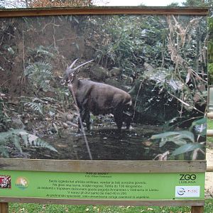 Ljubljana Zoo October 2013
