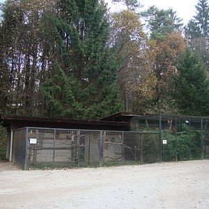 Ljubljana Zoo October 2013