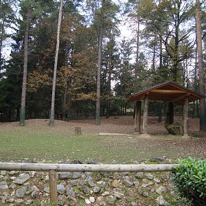 Ljubljana Zoo October 2013