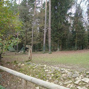 Ljubljana Zoo October 2013