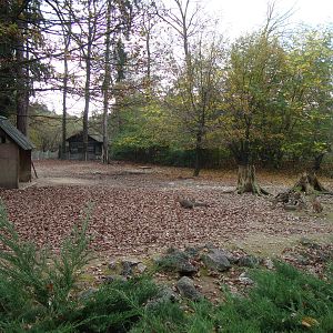 Ljubljana Zoo October 2013