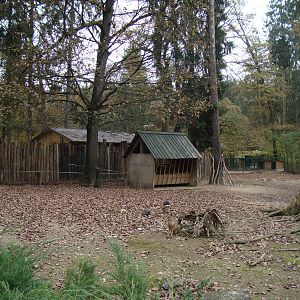Ljubljana Zoo October 2013
