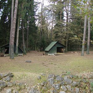 Ljubljana Zoo October 2013