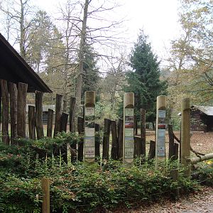 Ljubljana Zoo October 2013